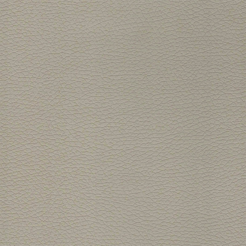 PZ02 Leather2 Texture Panel - Banayad na Luho